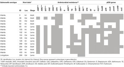 Detection of Antimicrobial Resistant Salmonella enterica Strains in Larval and Adult Forms of Lesser Mealworm (Alphitobius diaperinus) From Industrial Poultry Farms